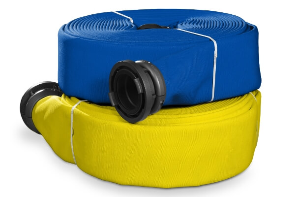 Niedner-Ready-Blue-Yellow